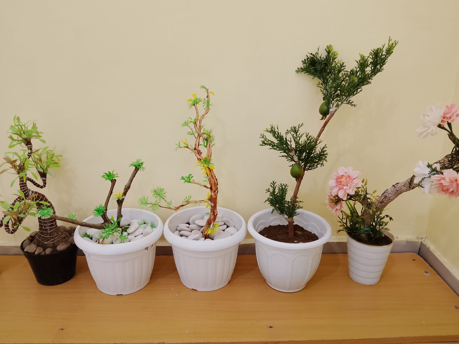 Siswa Kelas IX SMP Islam Al Bayyinah Sulap Limbah Kayu Menjadi Bonsai Kering