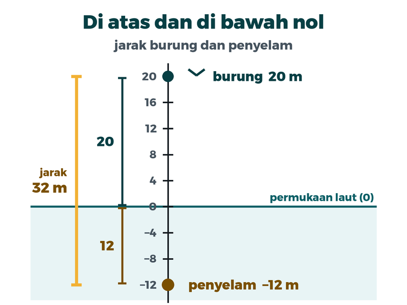 Garis bilangan tegak. Burung di dua puluh meter di atas permukaan laut, penyelam di minus dua belas meter. Jarak keduanya tiga puluh dua meter